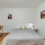 Cedar Hill Sunlit Stay - Bright Spacious & Modern
