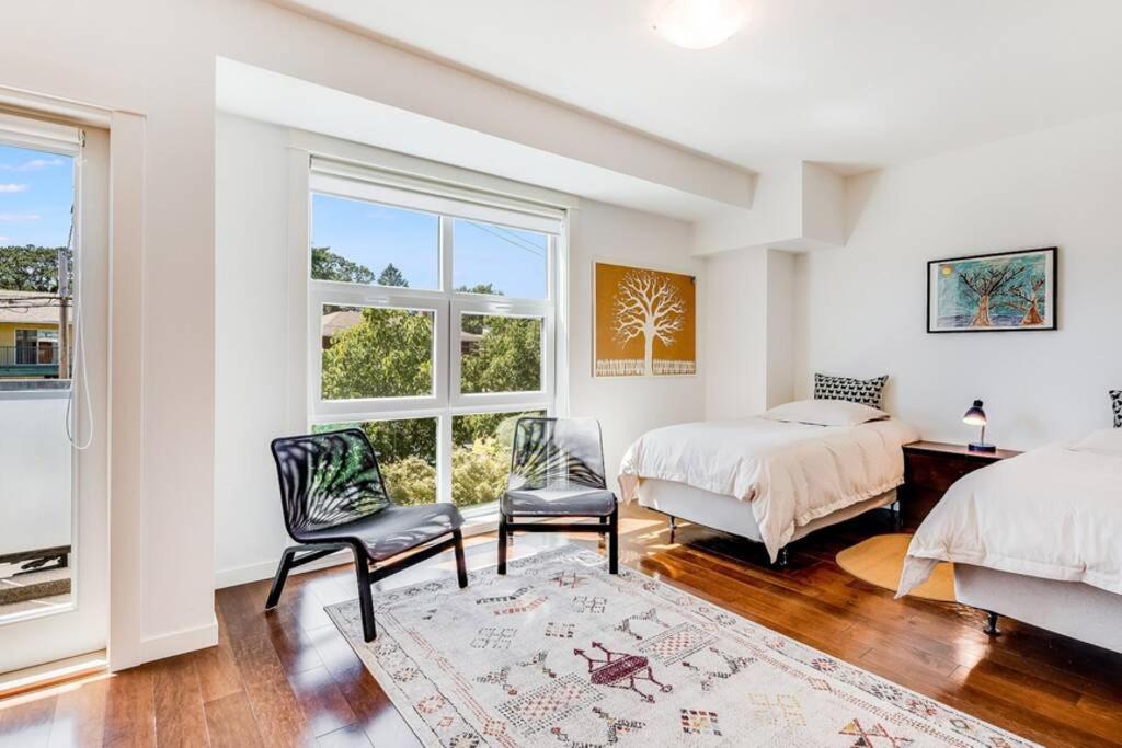 Cedar Hill Sunlit - Bright Spacious & Modern